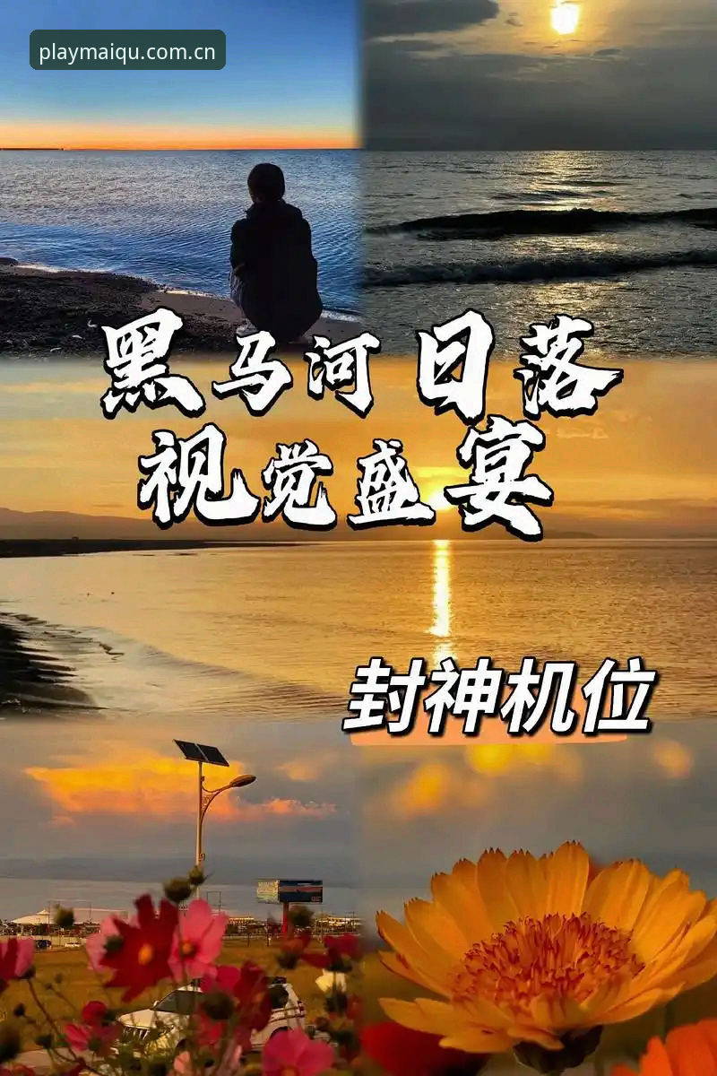 别再到处乱找了，这份万博买球官网操作教程能省你三小时